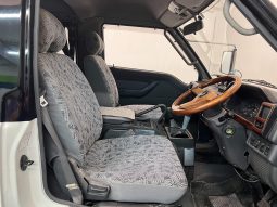 1996 Mitsubishi Delica Active World full