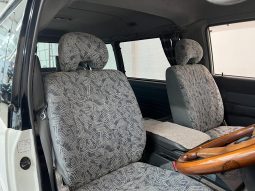 1996 Mitsubishi Delica Active World full