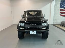 1996 Toyota Land Cruiser Prado SX full