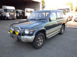 1991 Mitsubishi Pajero full