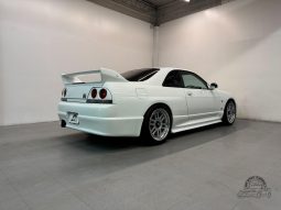 1995 Nissan Skyline GT-R V-Spec full