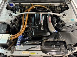 1995 Nissan Skyline GT-R V-Spec full