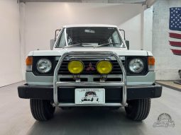 1989 Mitsubishi Pajero DX full