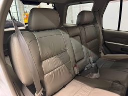 1999 Nissan Terrano Regulus RS-R Limited full